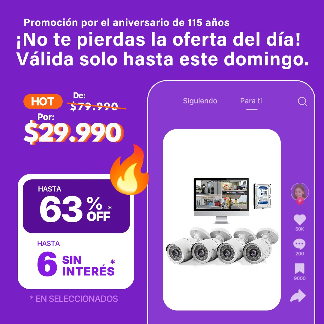 Kit Seguridad Gadnic 8 Cámaras HD IP DVR 8 Canales + Disco 1TB Visión Nocturna