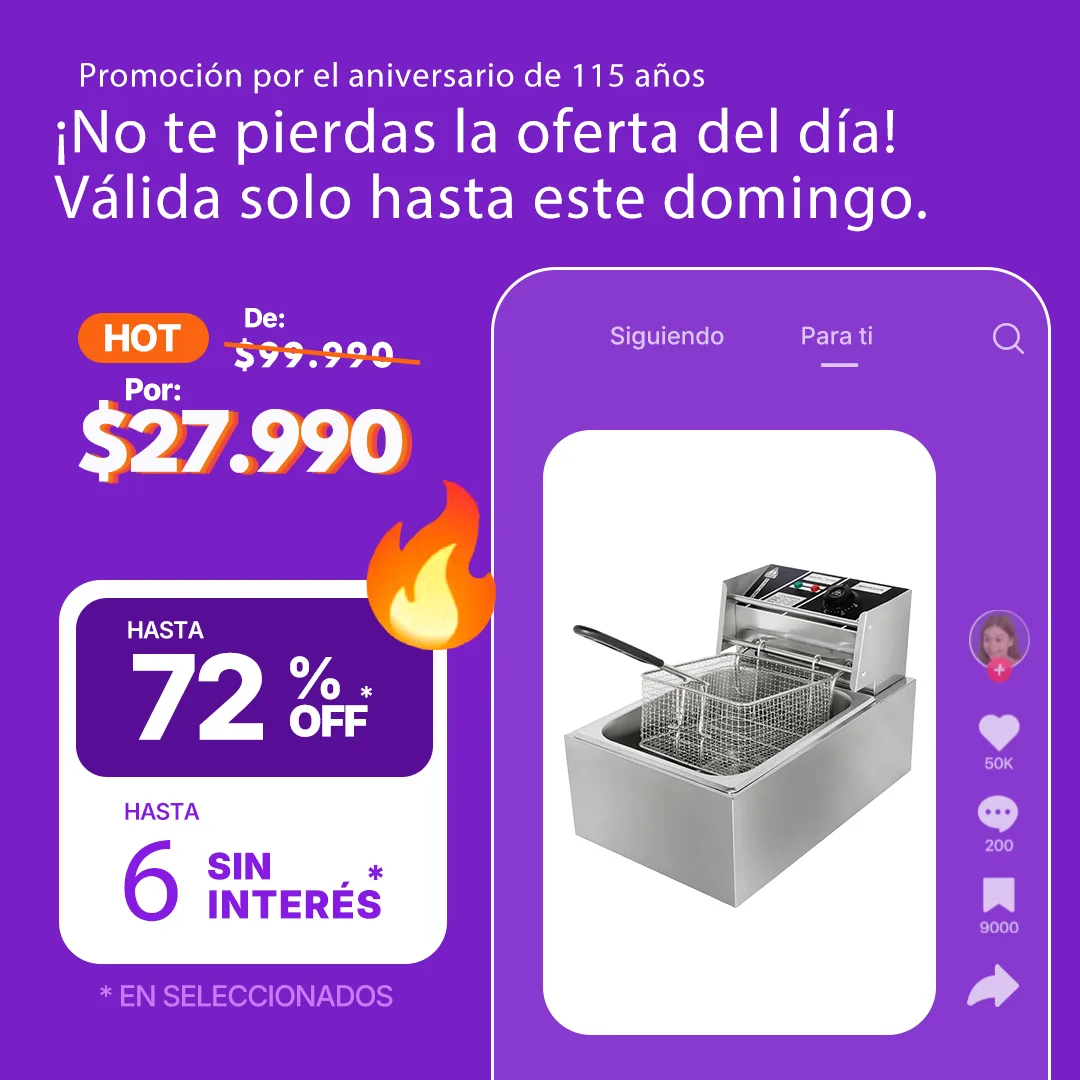 Freidora Eléctrica Comercial 10 L 2500 W